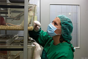 創新除臭技術，破解動物實驗室異味難題，科研健康兩不誤